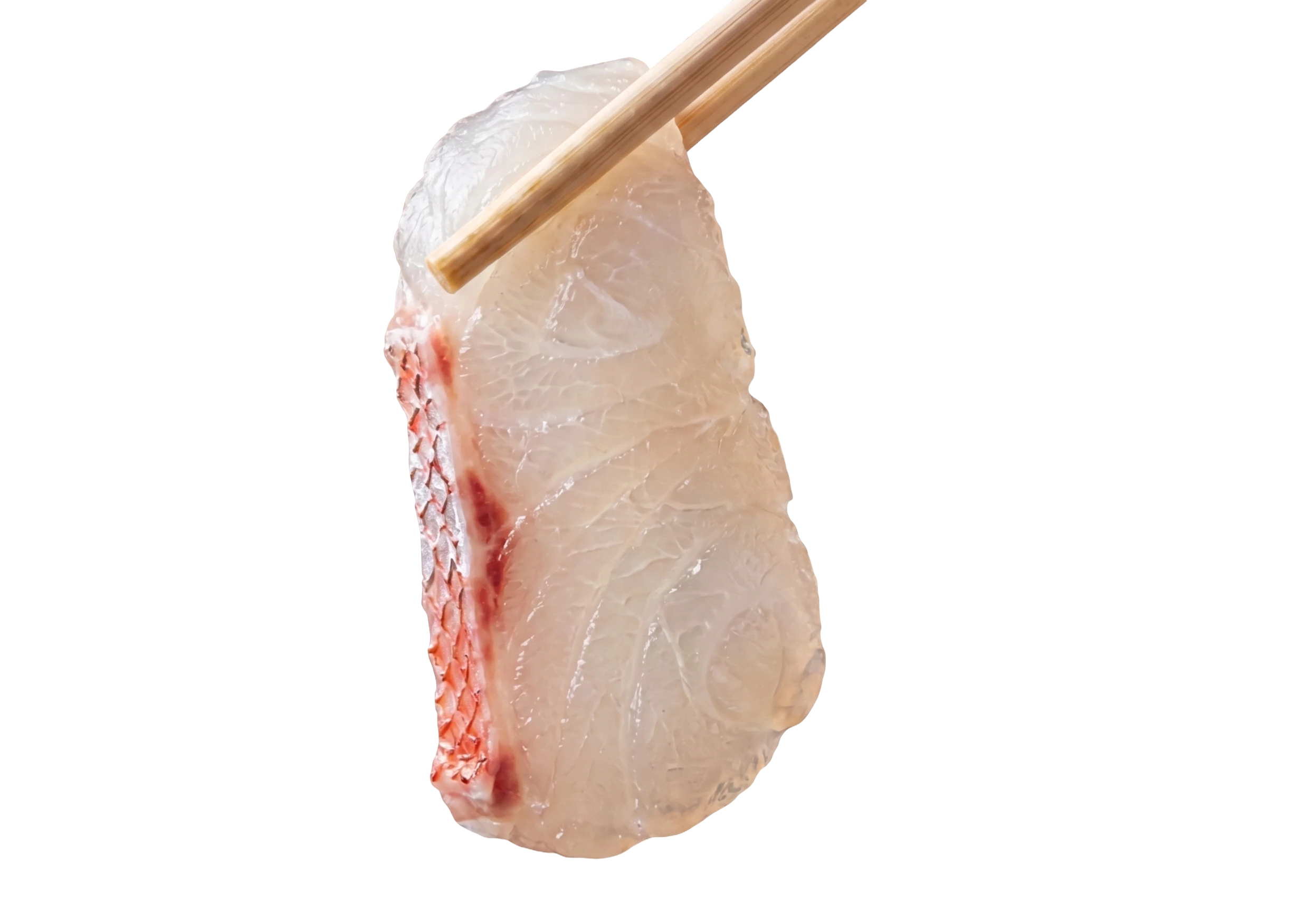 물고기자리 프리미엄 숙성회 한 점
